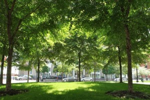 Tour of the Rose Kennedy Greenway » Skinny in a Land of Plenty