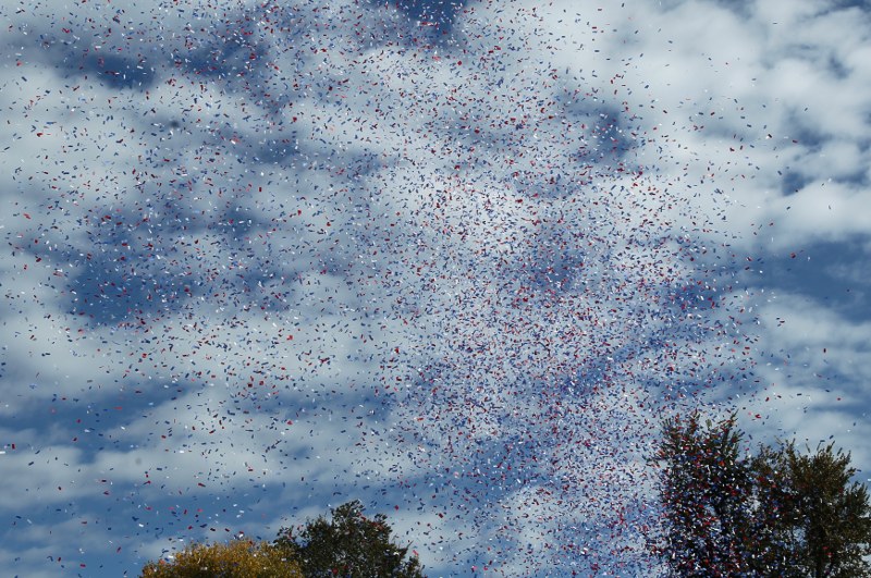 Blue, red, and white confetti against white and blue sky