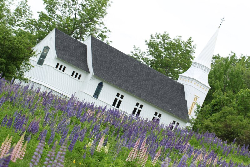 Church with lupine in foreground