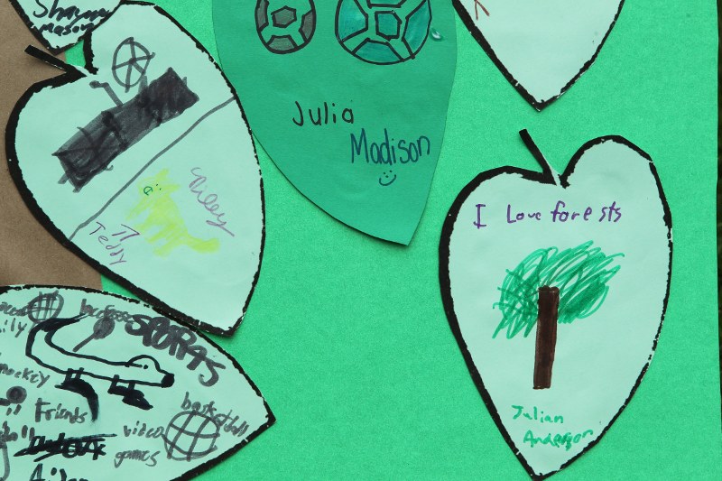 Close-up of poster designed by Boston Public Schools students of falling leaves with text: "I love forests"